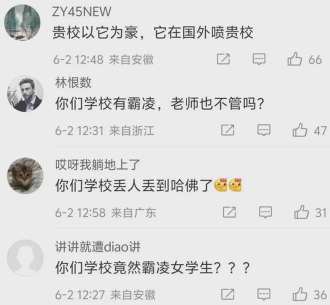 用自己的愚蠢拯救了黄杨钿甜开元棋牌试玩哈佛的蒋雨融(图5)